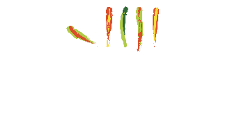Lifestyle Bakery